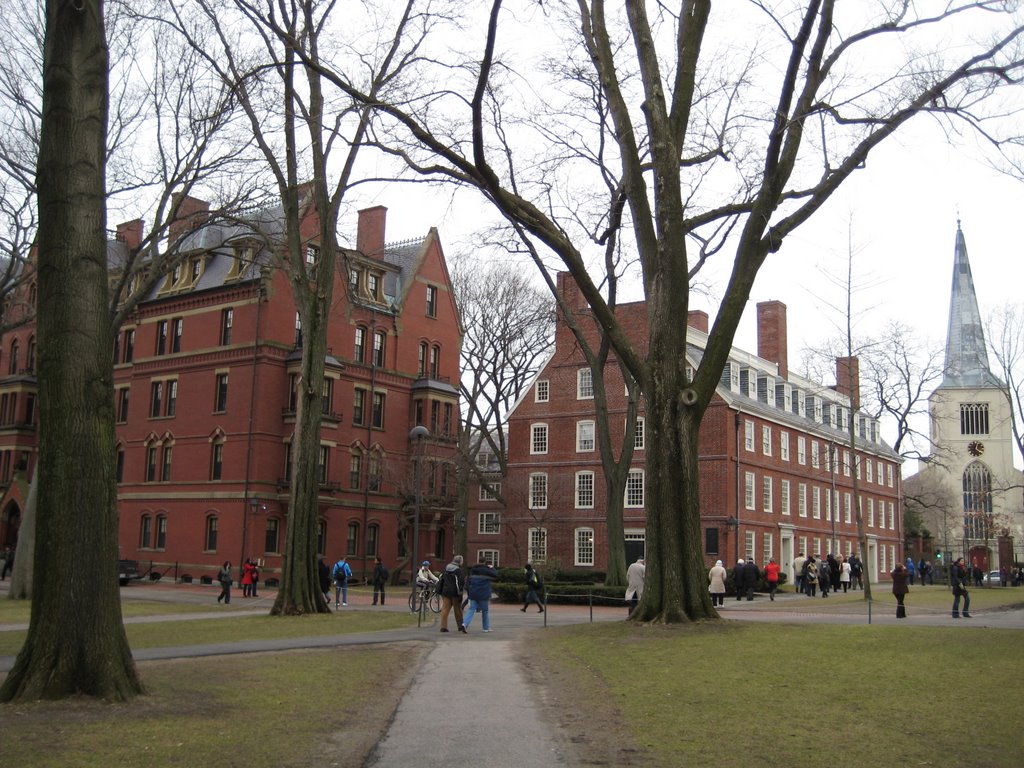 Harvard by JSandefer