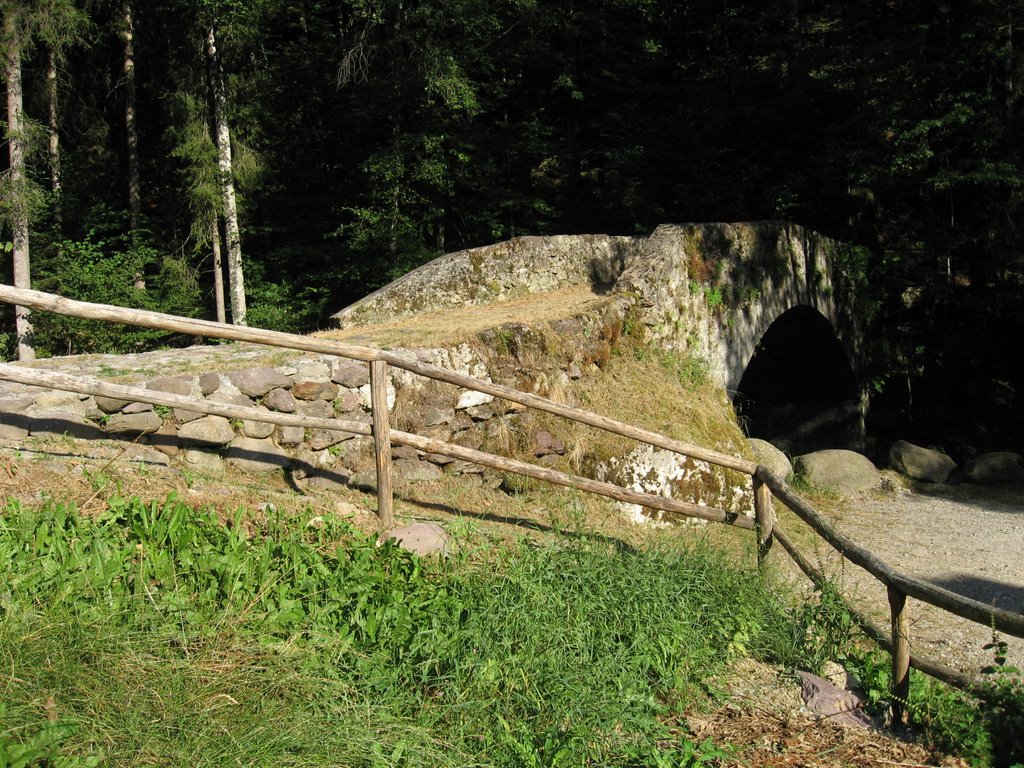 Ponte antico sul Torrente Valsecca di Baresi by tremsal