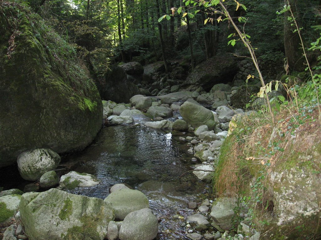 Torrente Valsecca by tremsal