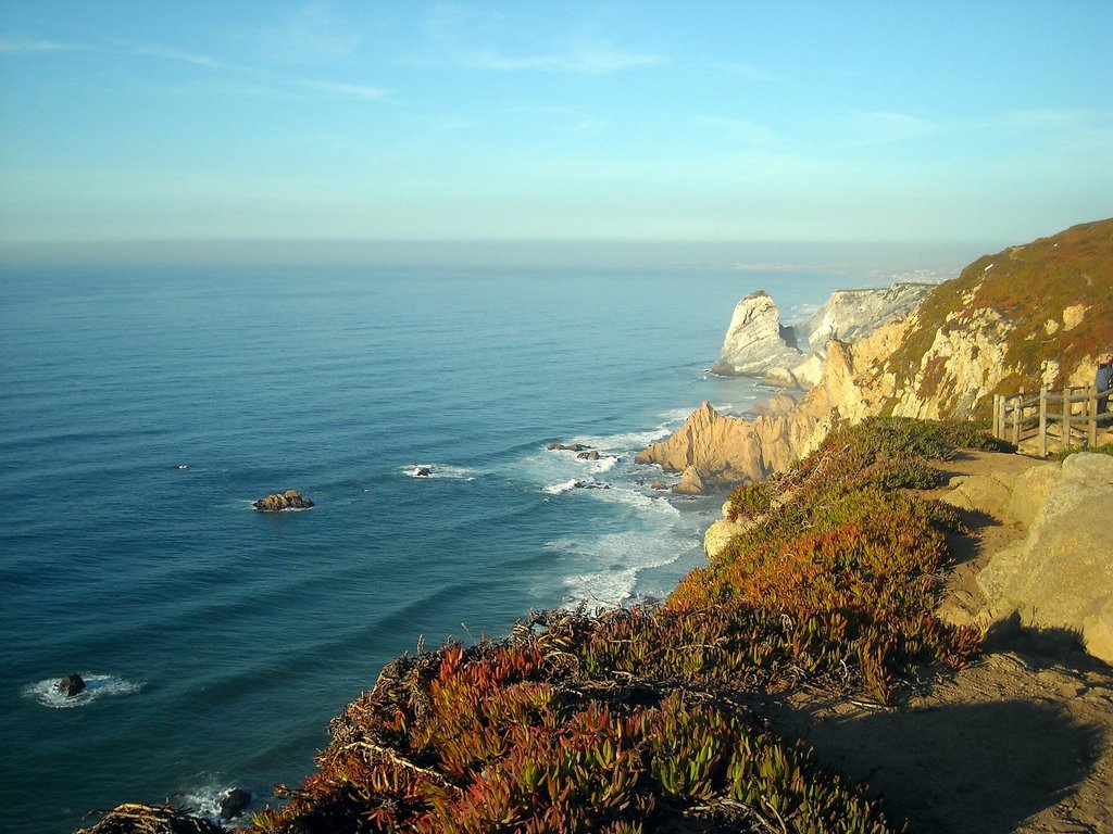 Cabo da Roca by Alexandra C