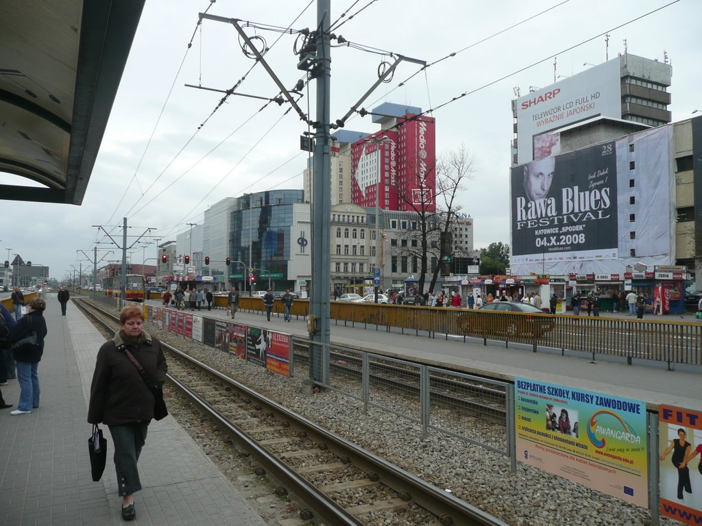 Lodz Silver Screen by Nuno Gonçalves