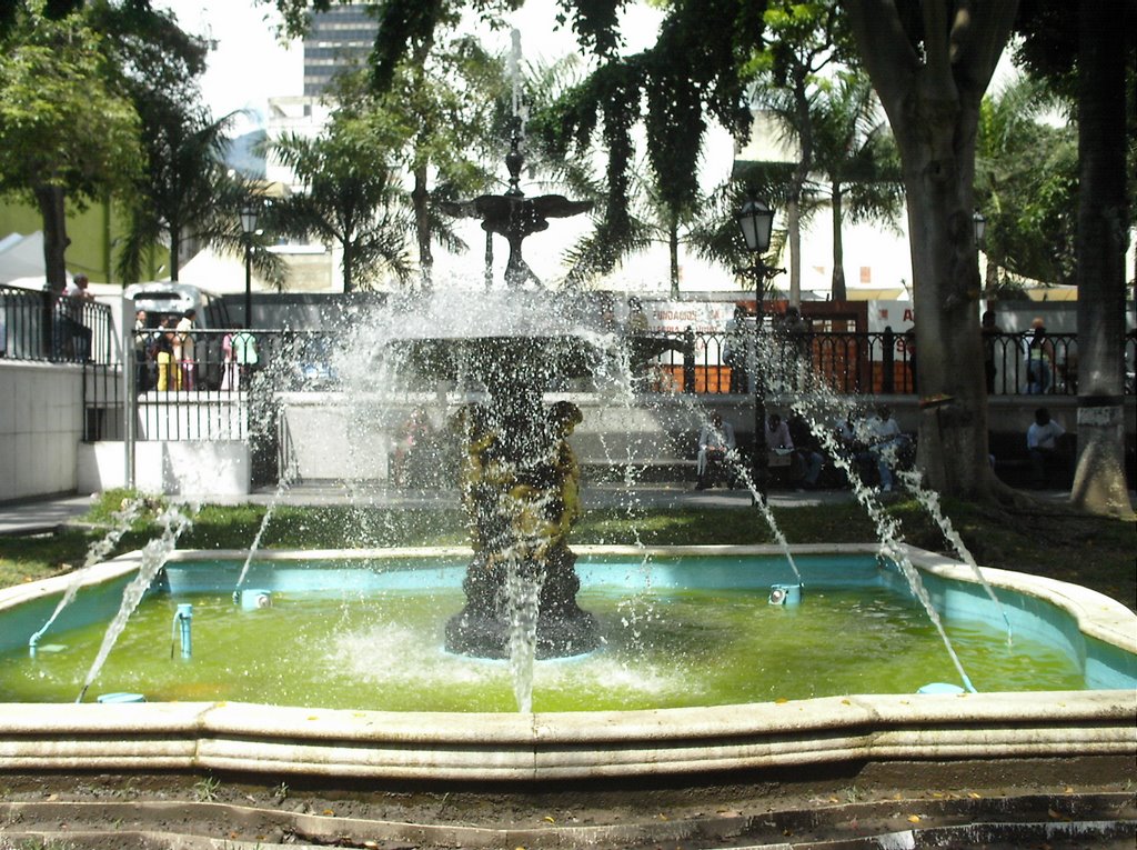 Fuente en la Plaza Bolívar by María Politano