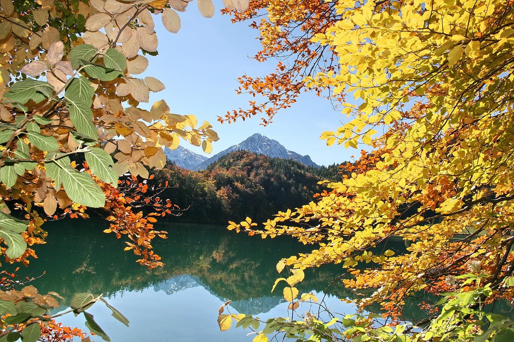 Bilderrahmenblick am Alatsee by H.Kneifel