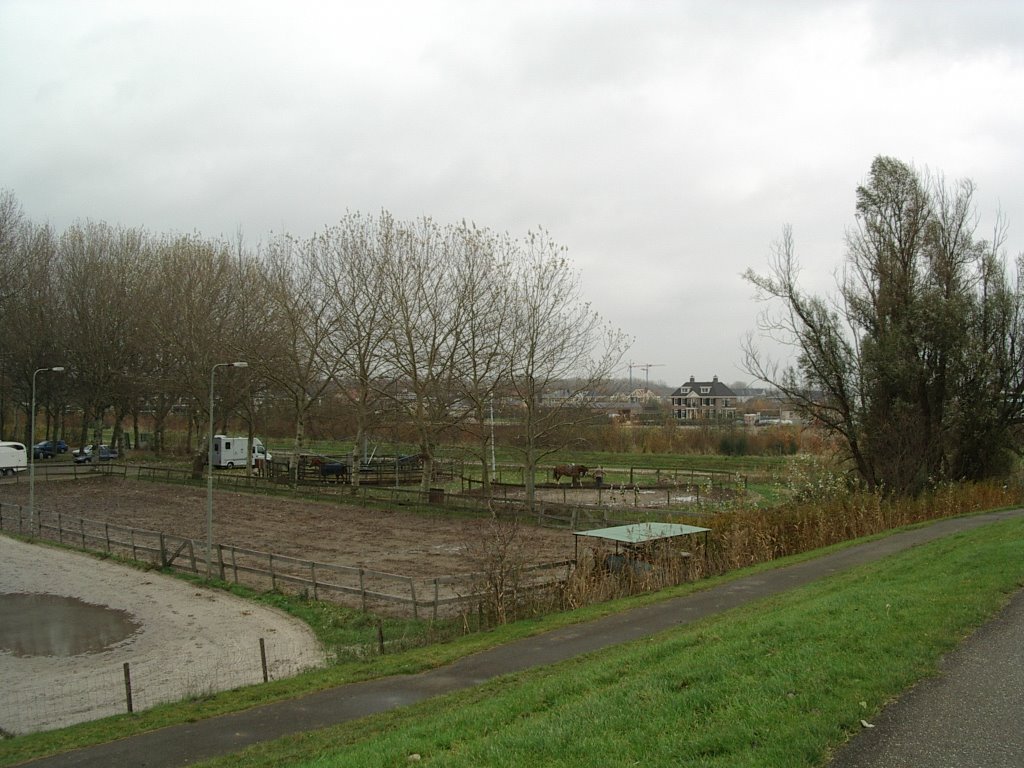 Almere Haven by Stojan Nejkov