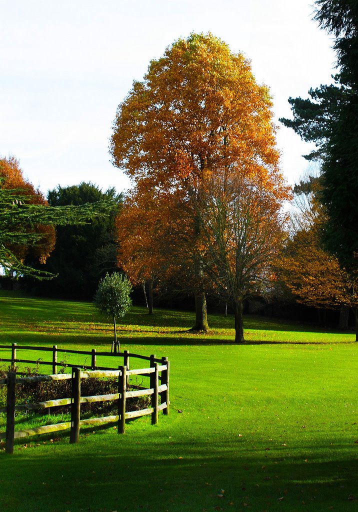 Alkham vally in November by skodie