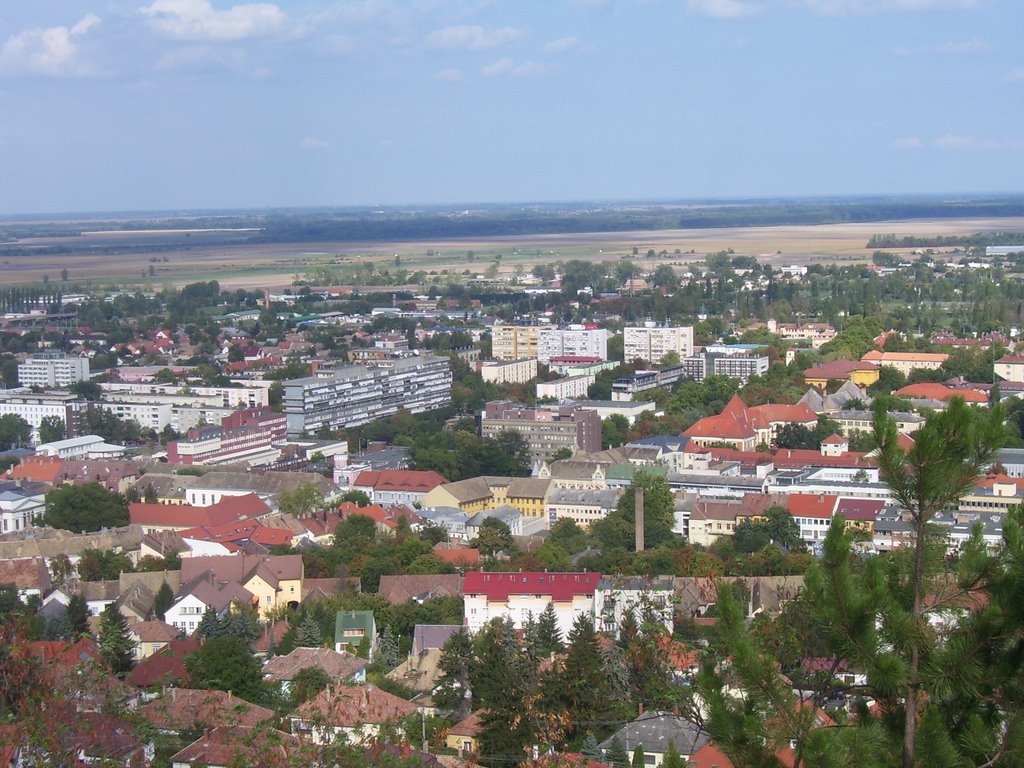 SZEKSZÁRD , LÁTKÉP by vida tibor