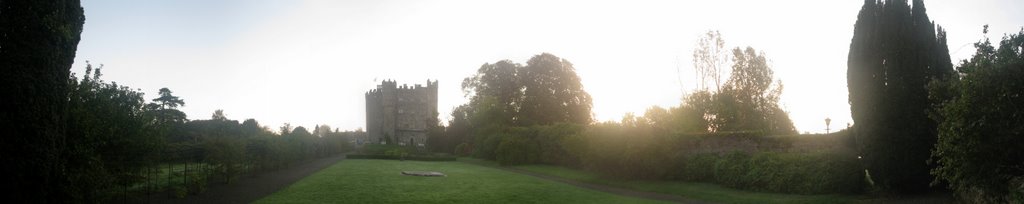 Kilkea Castle in the morning fog by TomDerElch.de