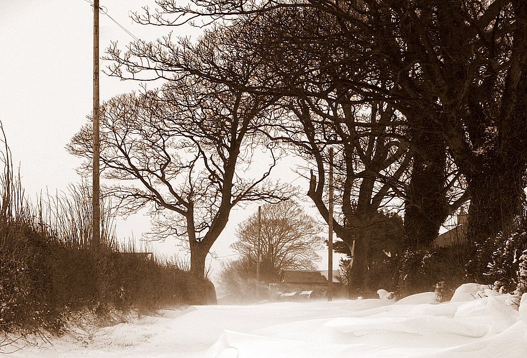 Snow Scene by MartinClayden