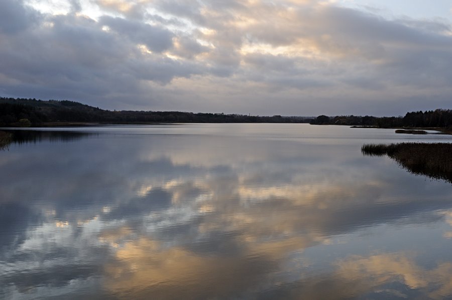 Silkeborg Langsø i november 2 by Søren Brøndum Christ…