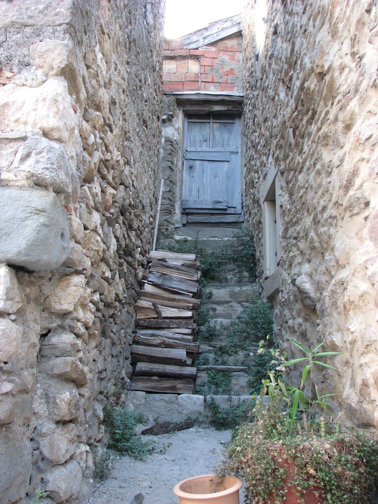 Porte à Minerve by DESRENTES ERIC