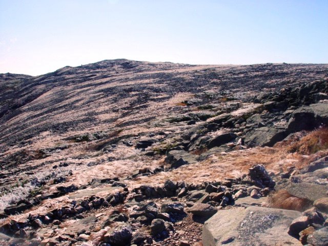 Mount Washington Summit Ridge by Ryan Kelly