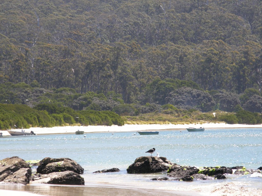 Recherche Bay by stefpul