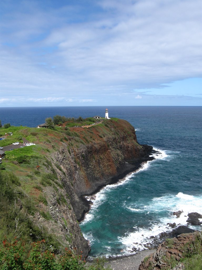 Kilauea Point by livingworld