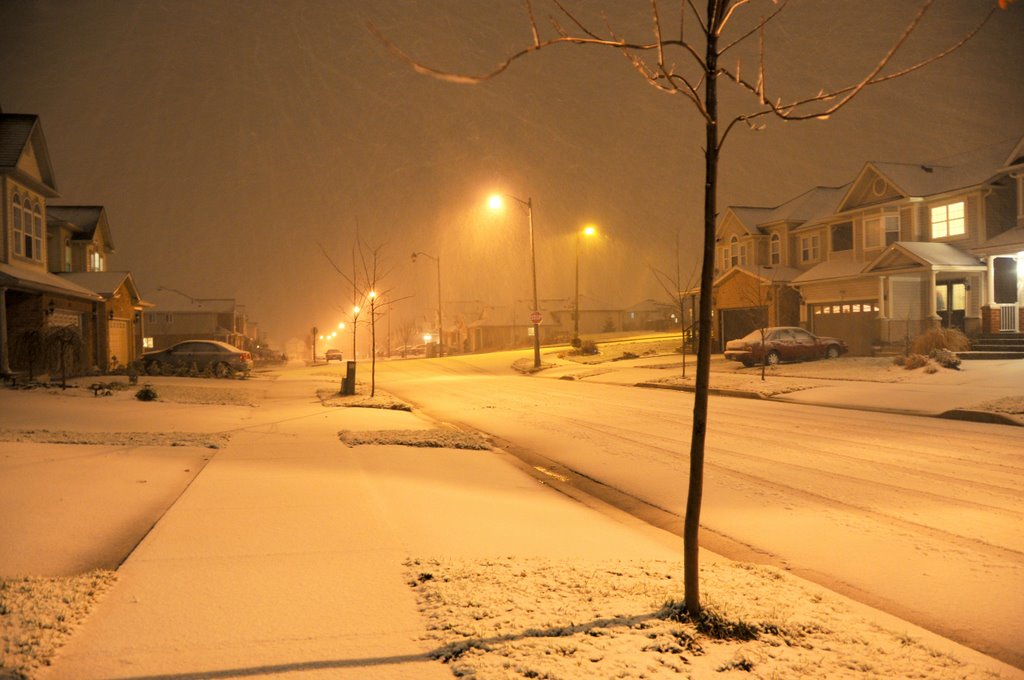 Snow in Waterloo by Ravindra Singh