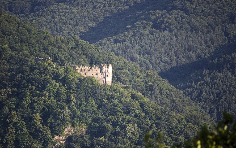 Šašovský hrad by haluzart