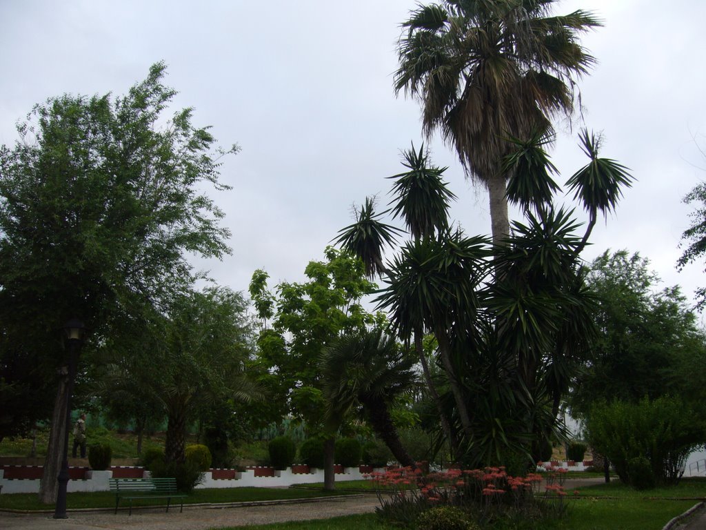 Parque Feix Rodriguez de la Fuente by alcaldesa