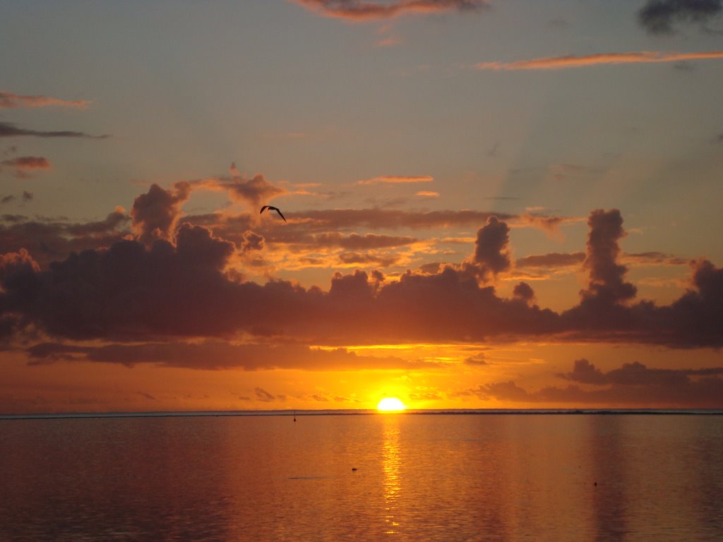 Moorea's sunset by chpava