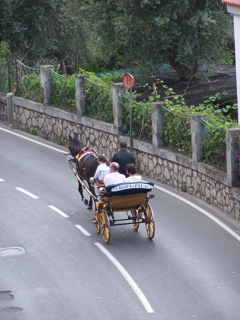 Local taxi in Sorrento by Virveli