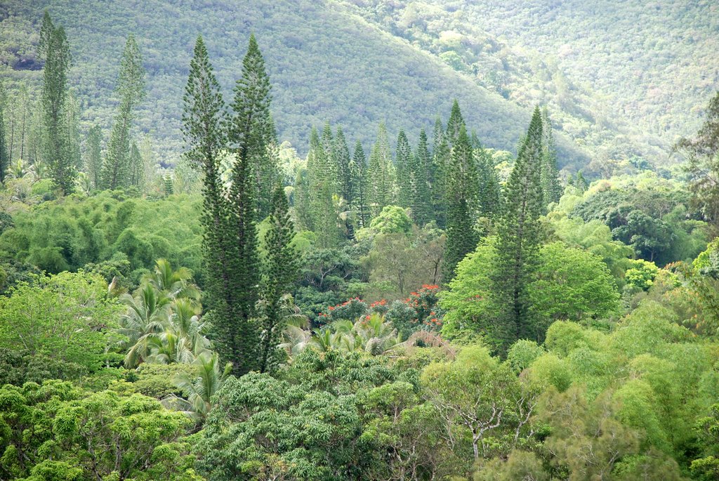 Canala, New Caledonia by pasojo