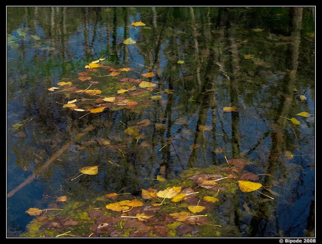 Reflejos by Ricardo León