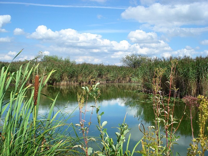 Naturparadies wemdinger Ried by Natur - pur