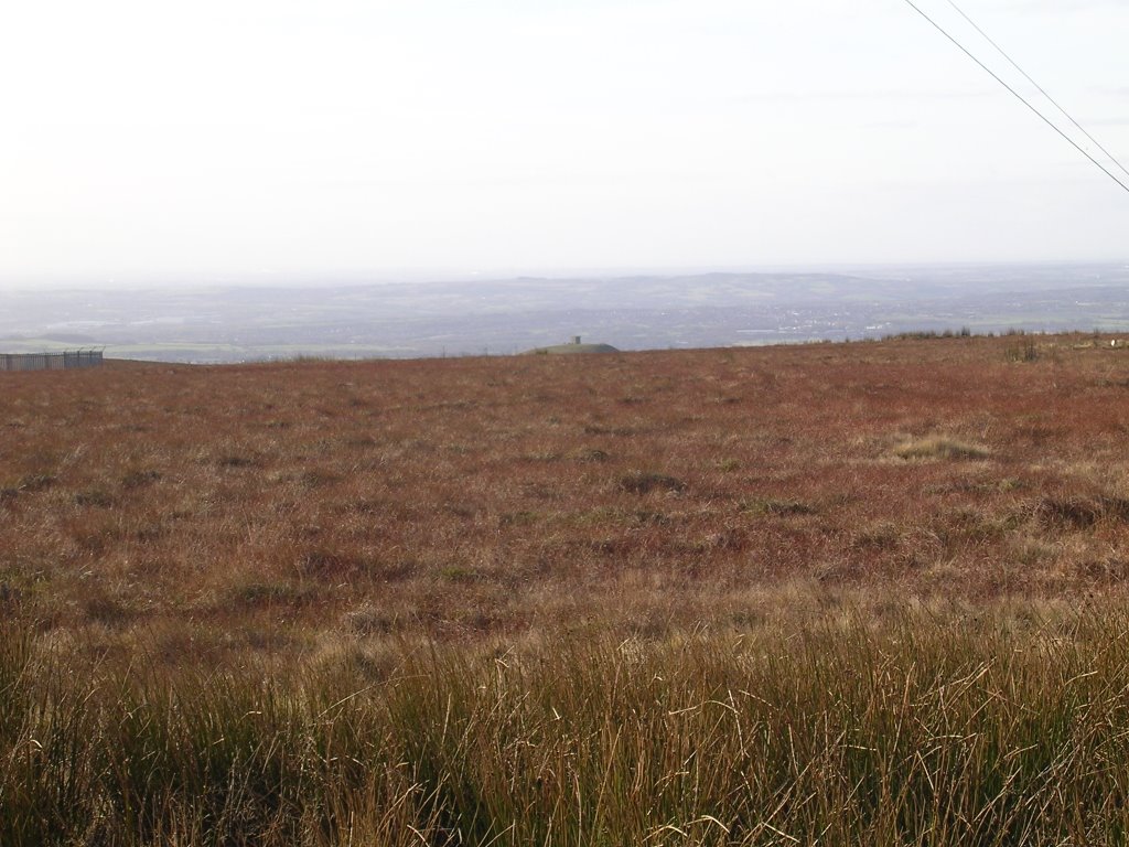 View of rivington pike from winter hill by run990