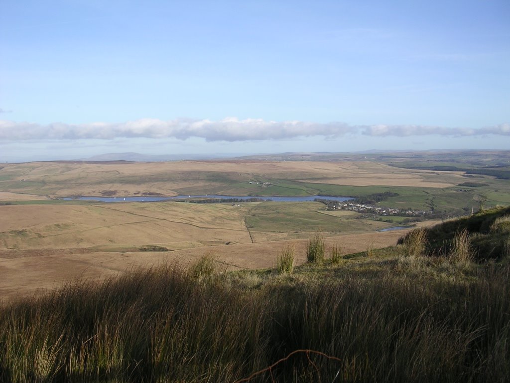 View over belmont reservoir by run990