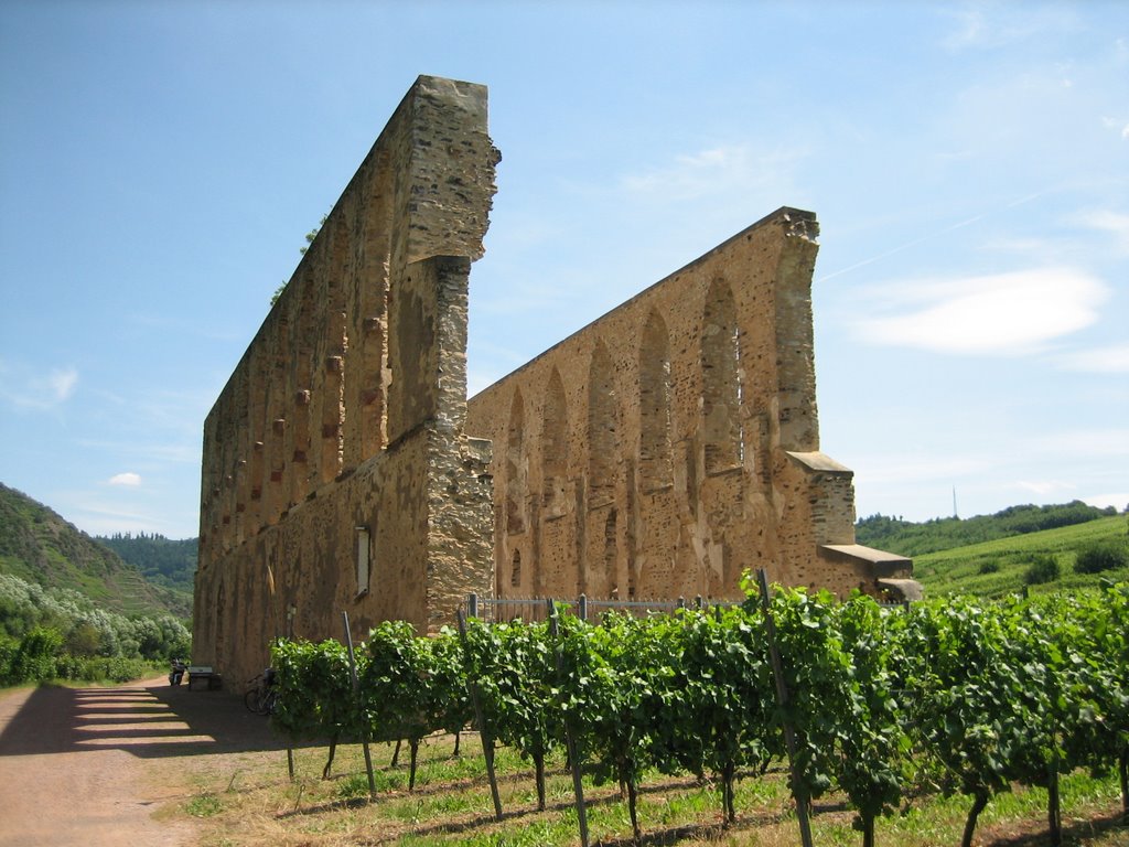 View onto ruin of abbey Stuben by kapibara