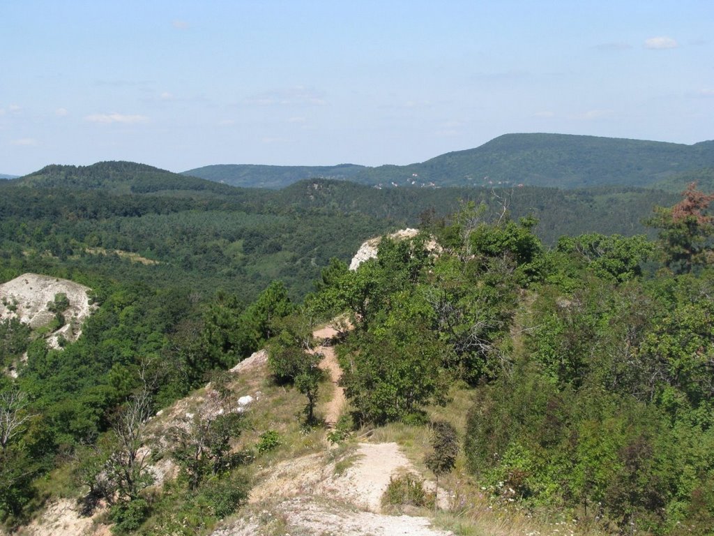 Northern part of Nagy-Szénás by petib