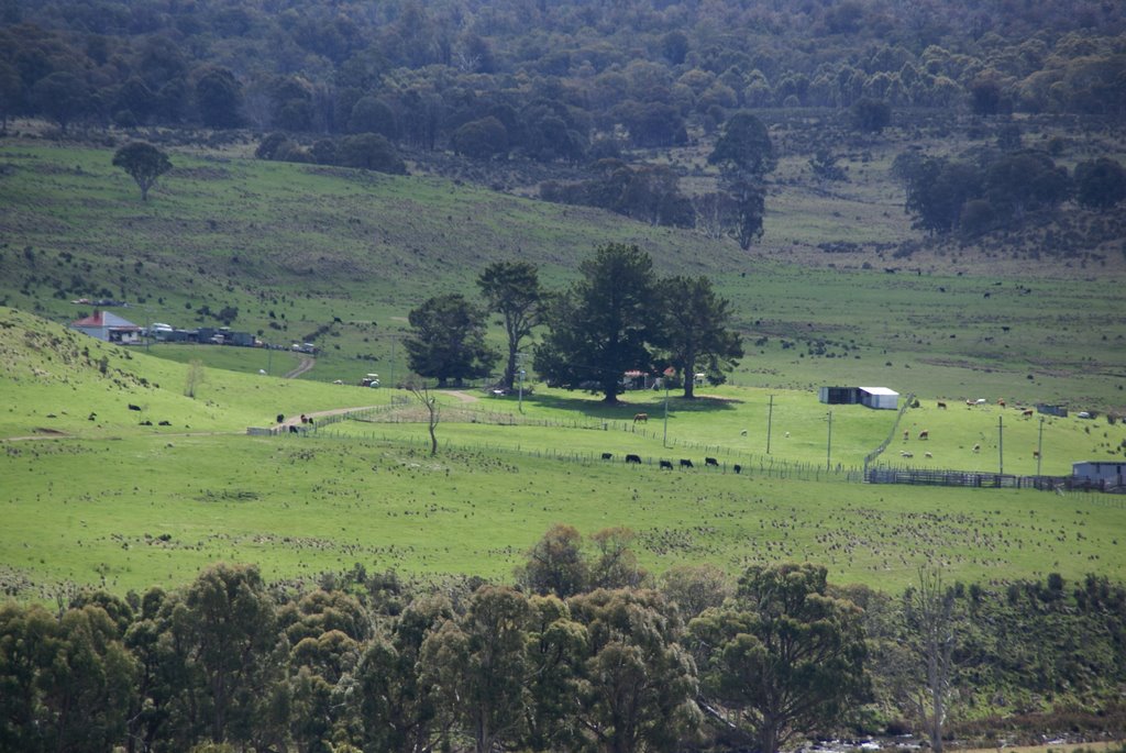 Tasmania, Central Plateau by János Hajas