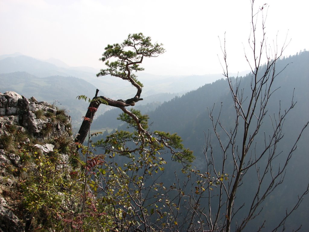 Sokolica, Pieniny, Polska by zebikzone