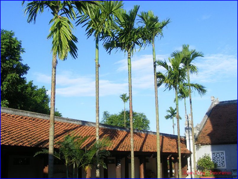 Dâu: Chùa - Pagode - Pagoda by Vietnam Atlas