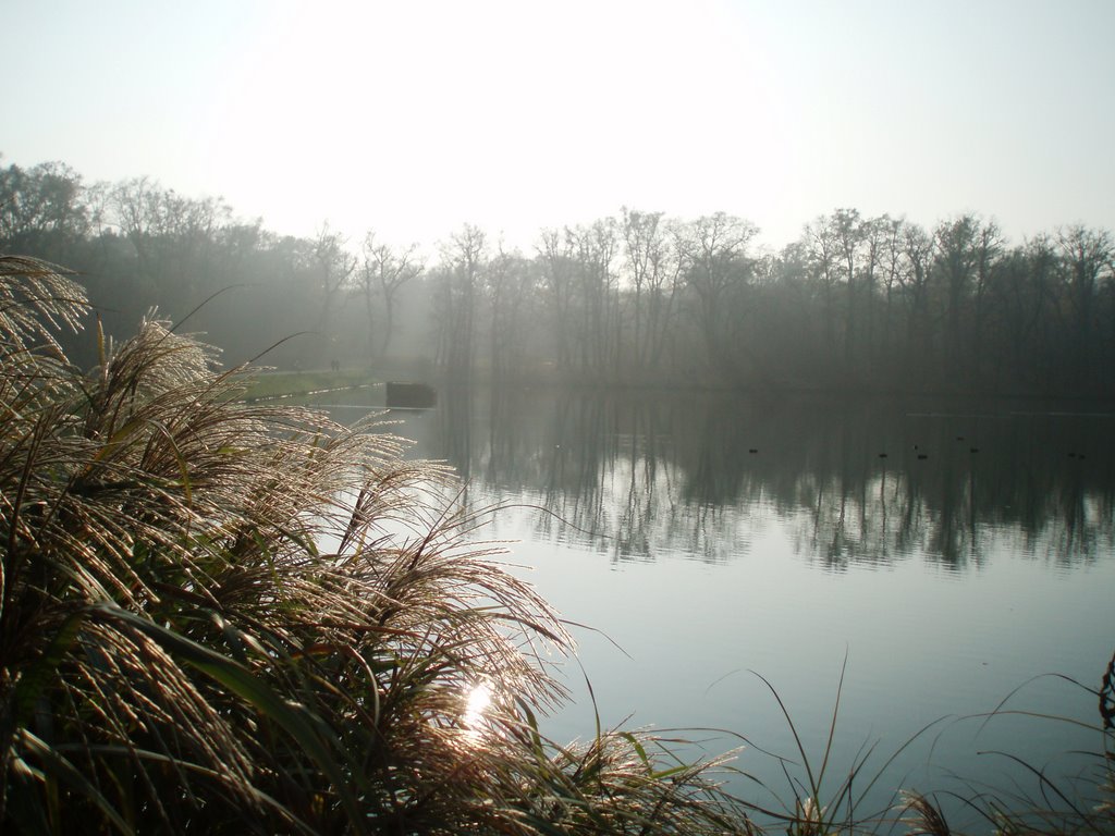 Park Maksimir-Zagreb by Tihomir Gržinčić