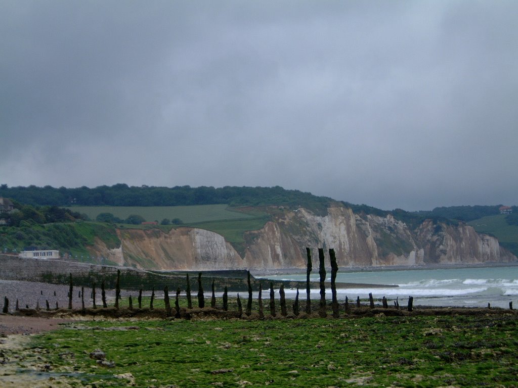 Green Beach, Pourville-Sur-Mer by George Gregg