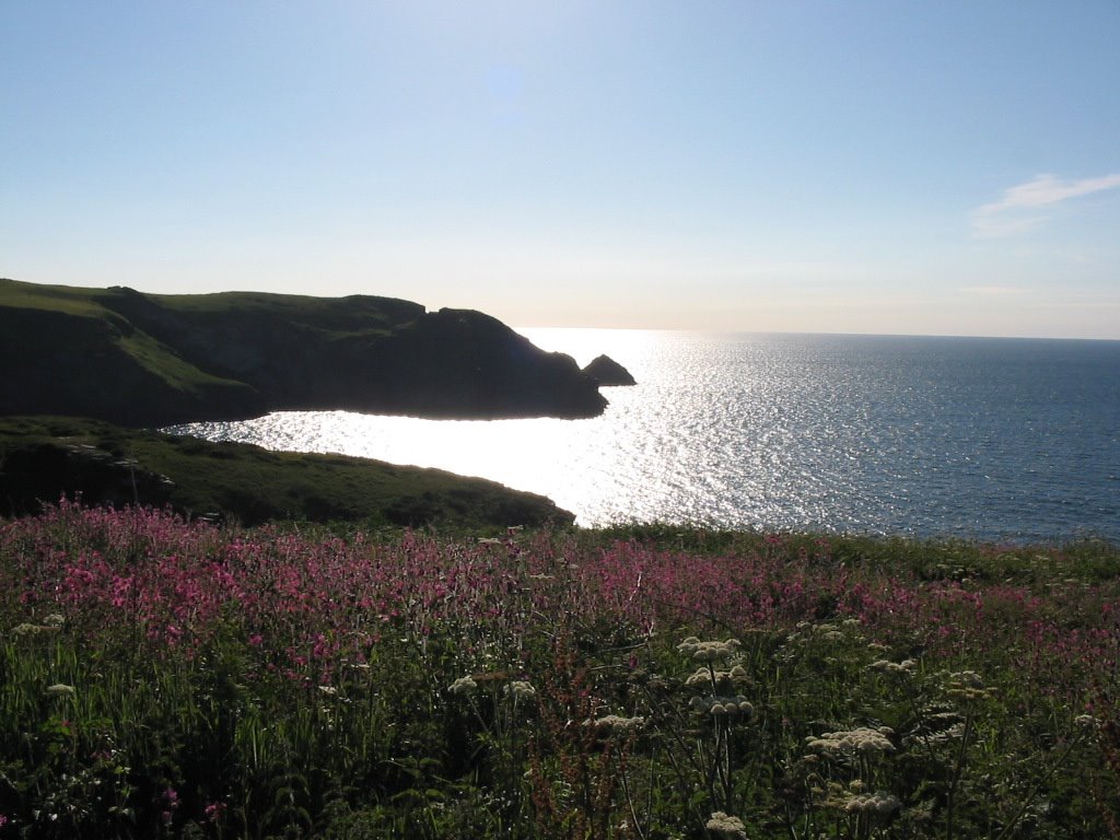 Tintagel, UK by gordon f  hols