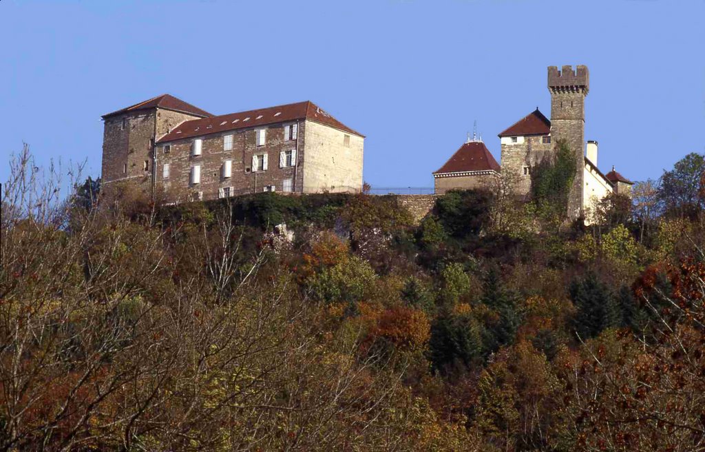 Château de Cressia (vue ouest) by Alain TREBOZ