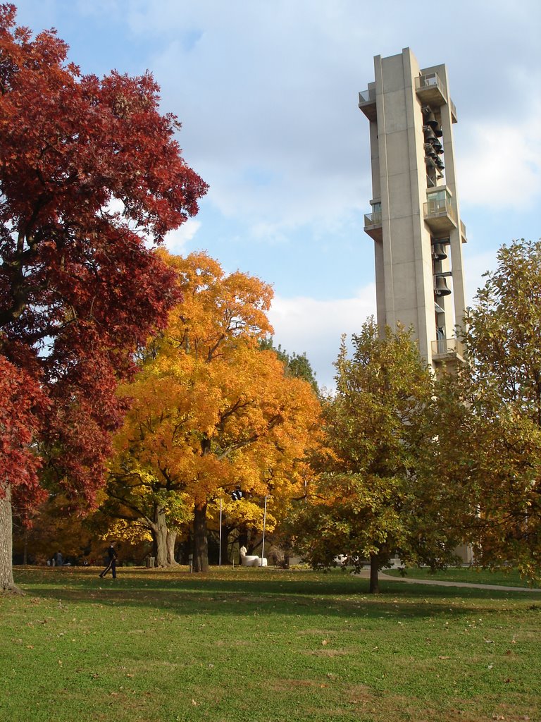 Washington Park by paula_ds