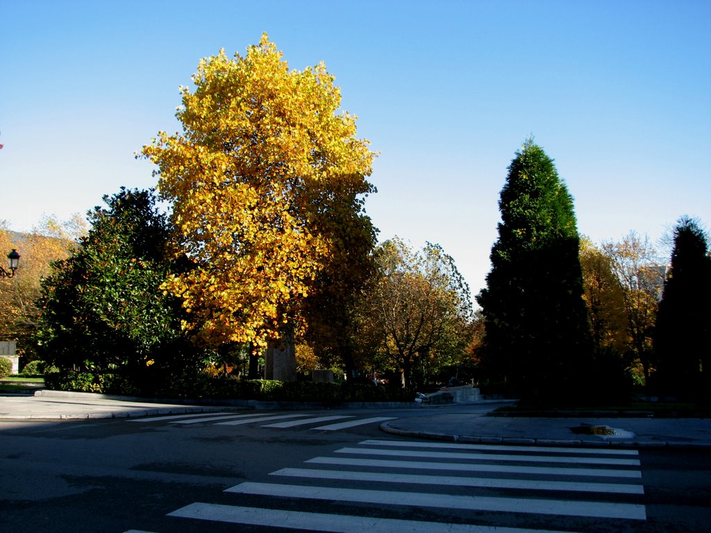 Otoño en Plaza de España, Oviedo. Principado de Asturias. by Valentin Enrique Fer…