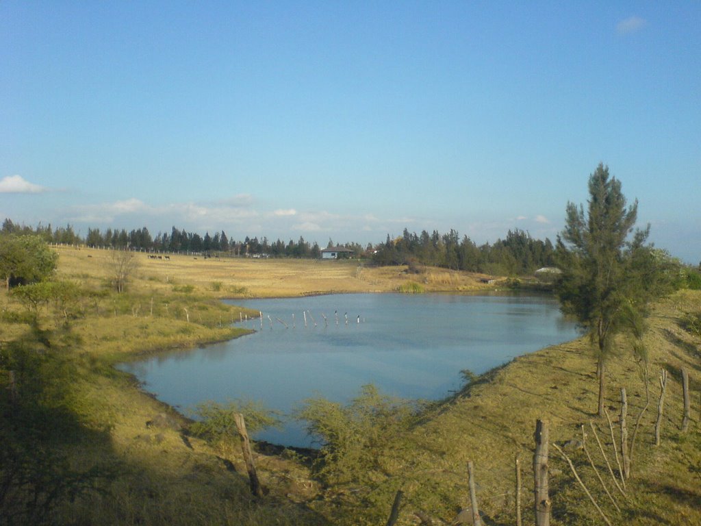 Lago artificial, junto al Pinar del Chayan by Jonathan F. Pérez Aldama