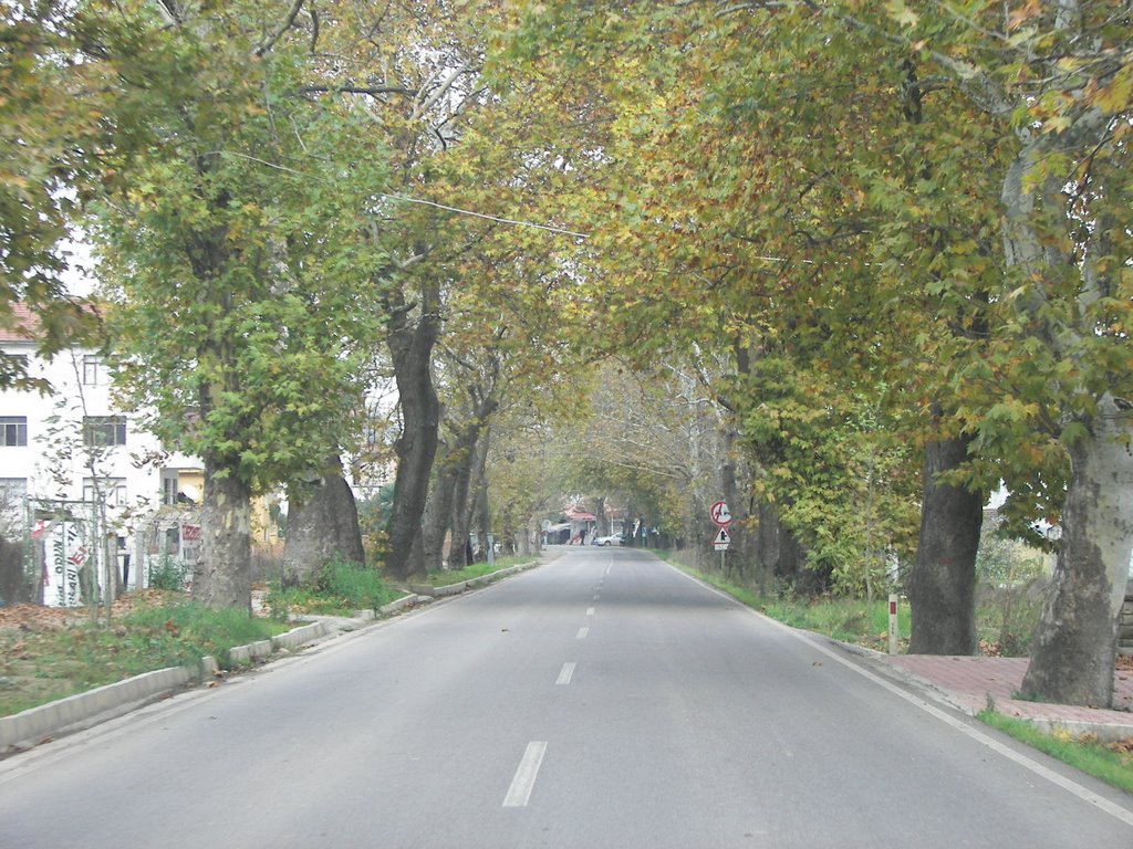 Yalova, Yalova Merkez/Yalova Province, Turkey by ErKaN SiMSEK