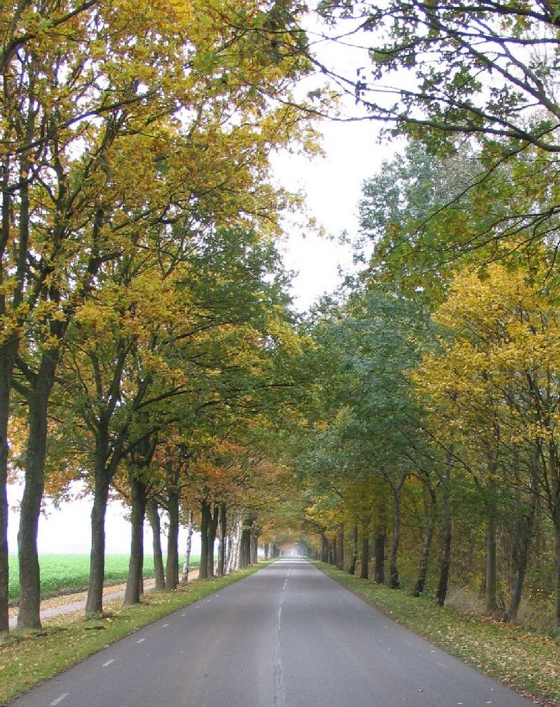 Raadhuisweg, Oude Pekela by Victor Verhoef