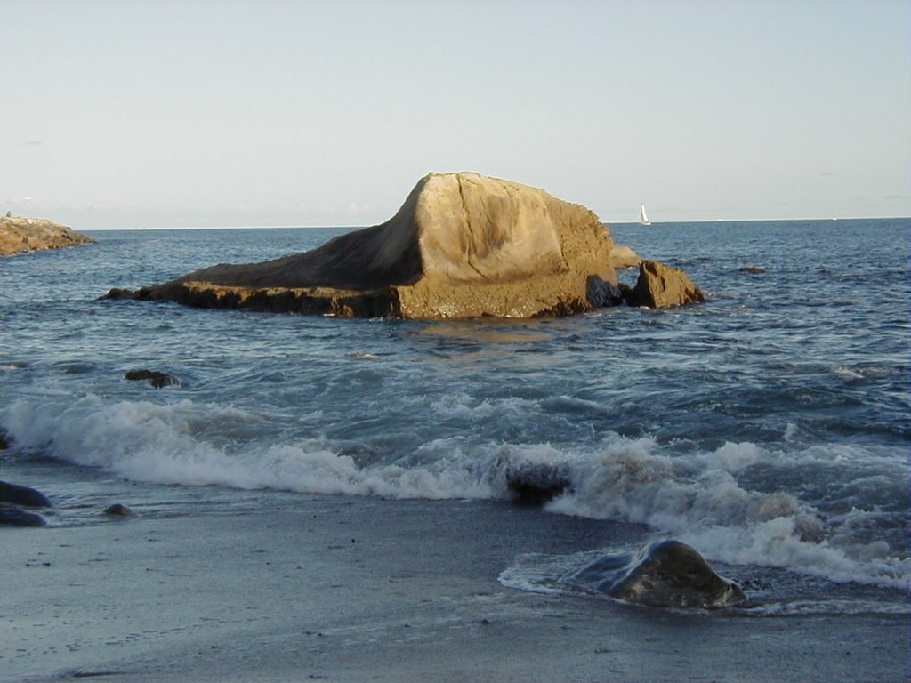 Dana Cove Park Dana Point California by Pindur