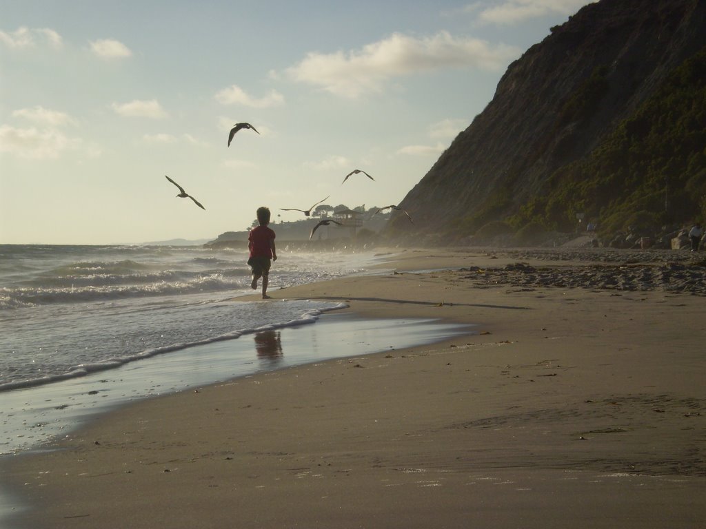 Salt Creek Beach Dana Point California by Pindur