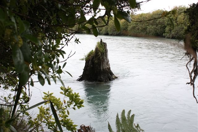 Stump In Wanganui River by Steve Busson