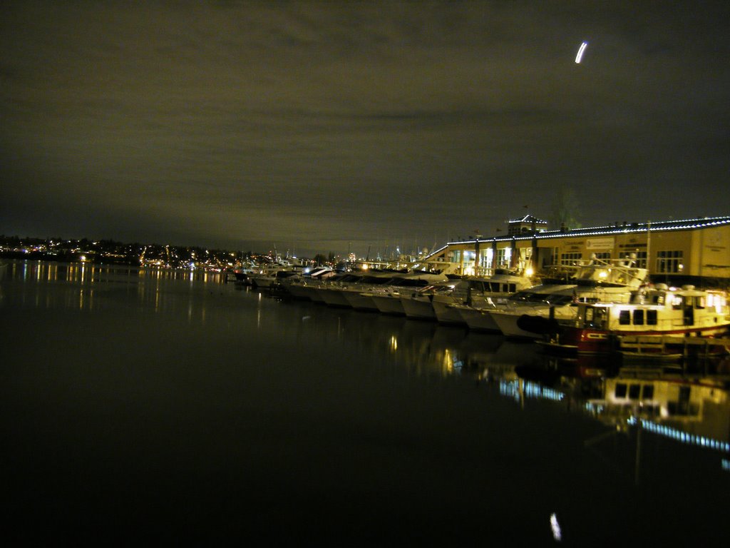 Marinas East Side of Lake Union II by TDCinSeattle