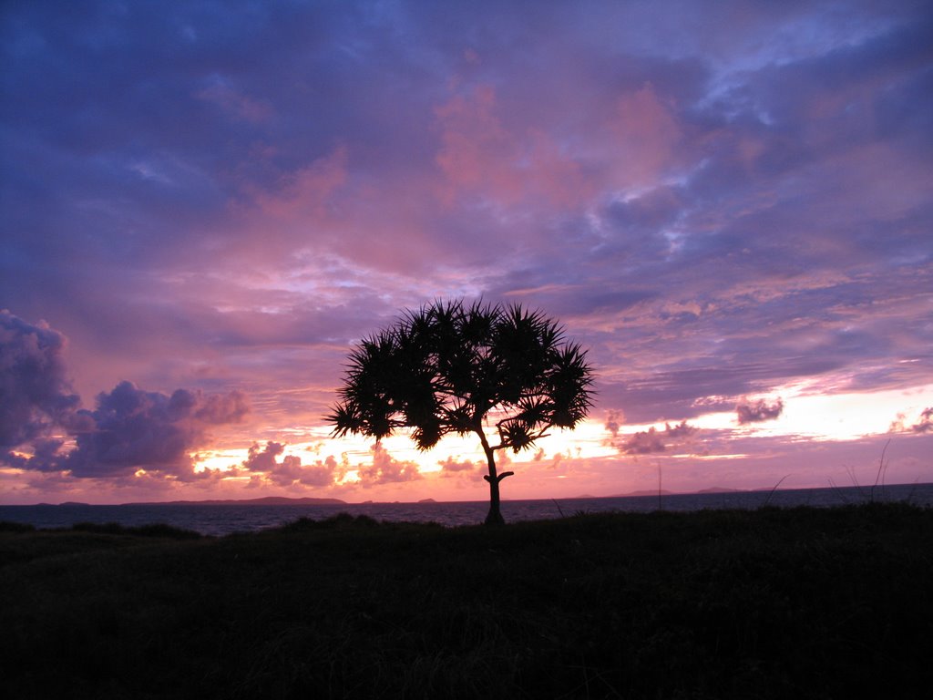 Life of a tree... 2 by DavidPaulAllen