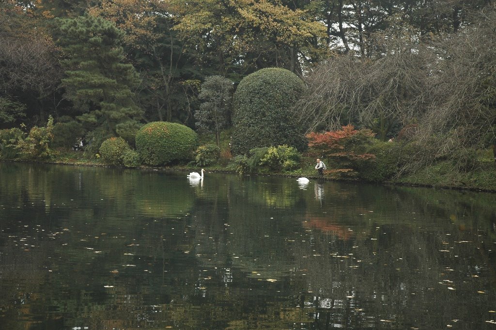 1 Chome Higashikoigakubo, Kokubunji-shi, Tōkyō-to 185-0014, Japan by hanako