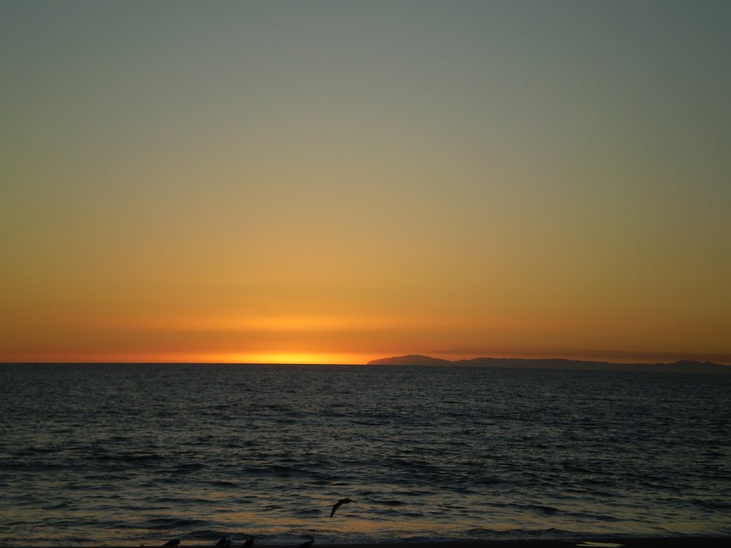 Heisler Park Laguna Beach California by Pindur