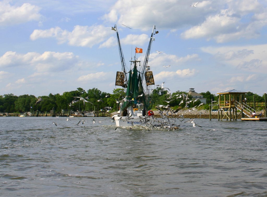 Shrimp Boat Entering Jeremy Creek by jasten