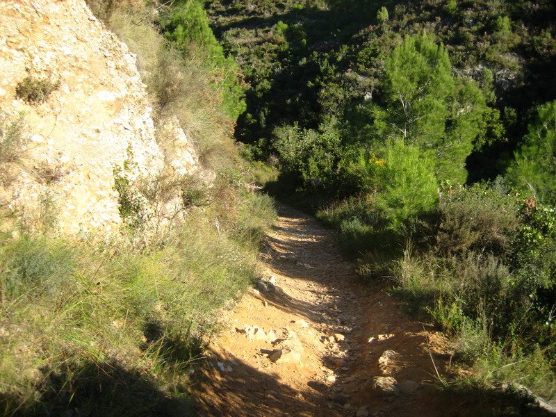 Pujant a la Font del Burgar by Lluis Ibañez